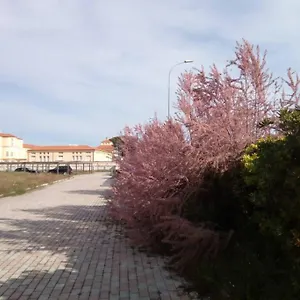 In Parco Naturale, Con Accesso Diretto Appartamento Pisa
